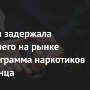 Полиция задержала бросившего на рынке полкилограмма наркотиков иностранца