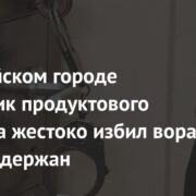 В российском городе сотрудник продуктового магазина жестоко избил вора и был задержан