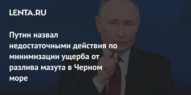 Путин назвал недостаточными действия по минимизации ущерба от разлива мазута в Черном море