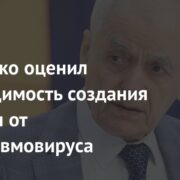 Онищенко оценил необходимость создания вакцины от метапневмовируса